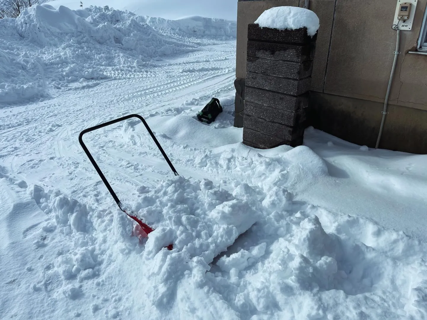 か〜ん〜波〜！！！