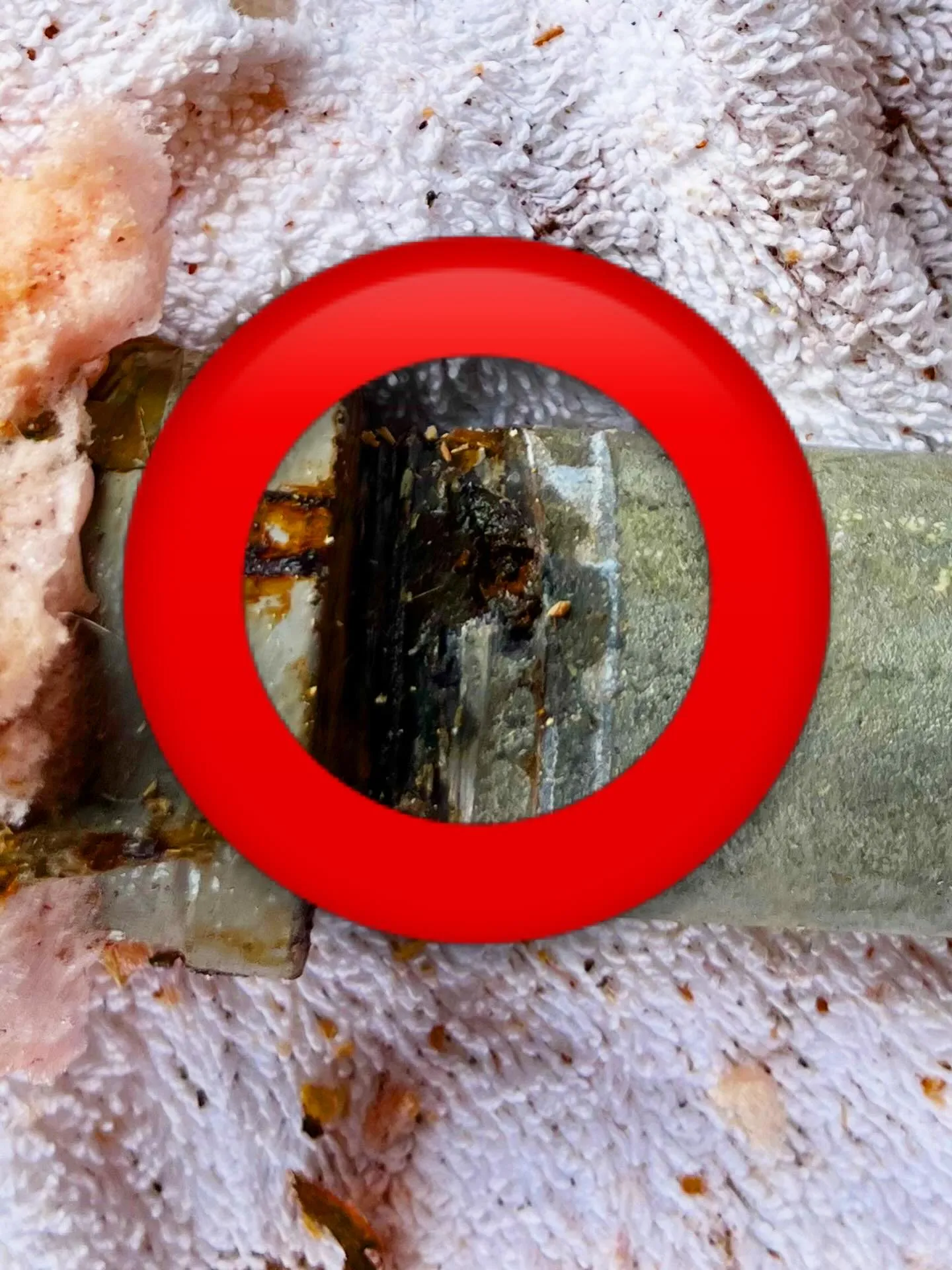 青森市でのお仕事でした。