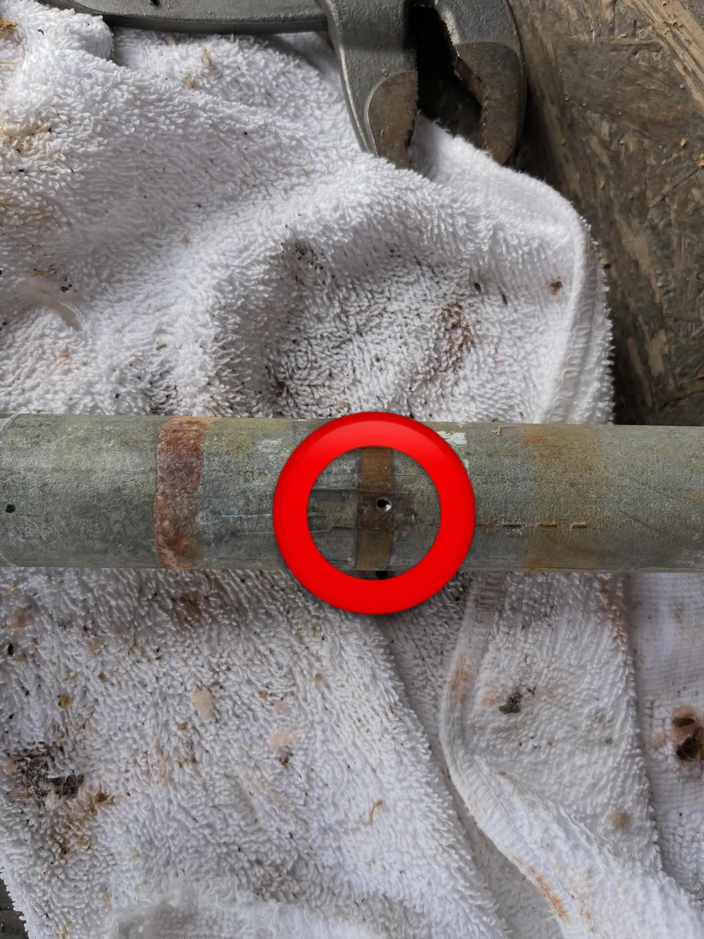 青森市でのお仕事でした。